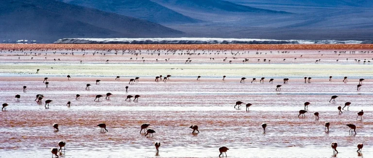 laguna de colores